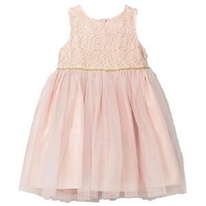 CAT & JACK Girls Pink Dress Tulle Party Ballerina Sleeveless Lace Gold 4T Twirl